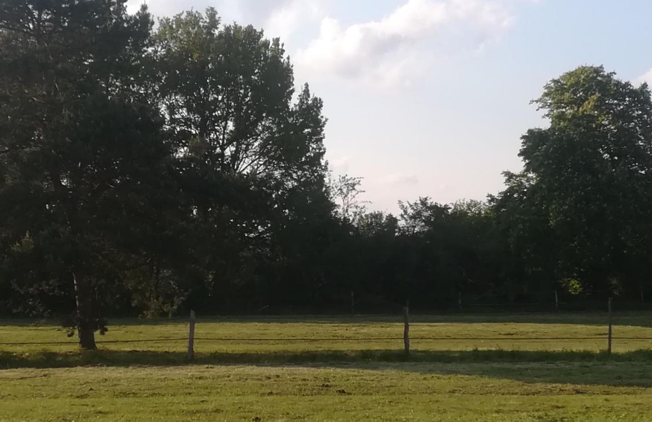 Les Pres Du Petit Morlu - Proche Beauval Saint-Romain-sur-Cher Exterior foto