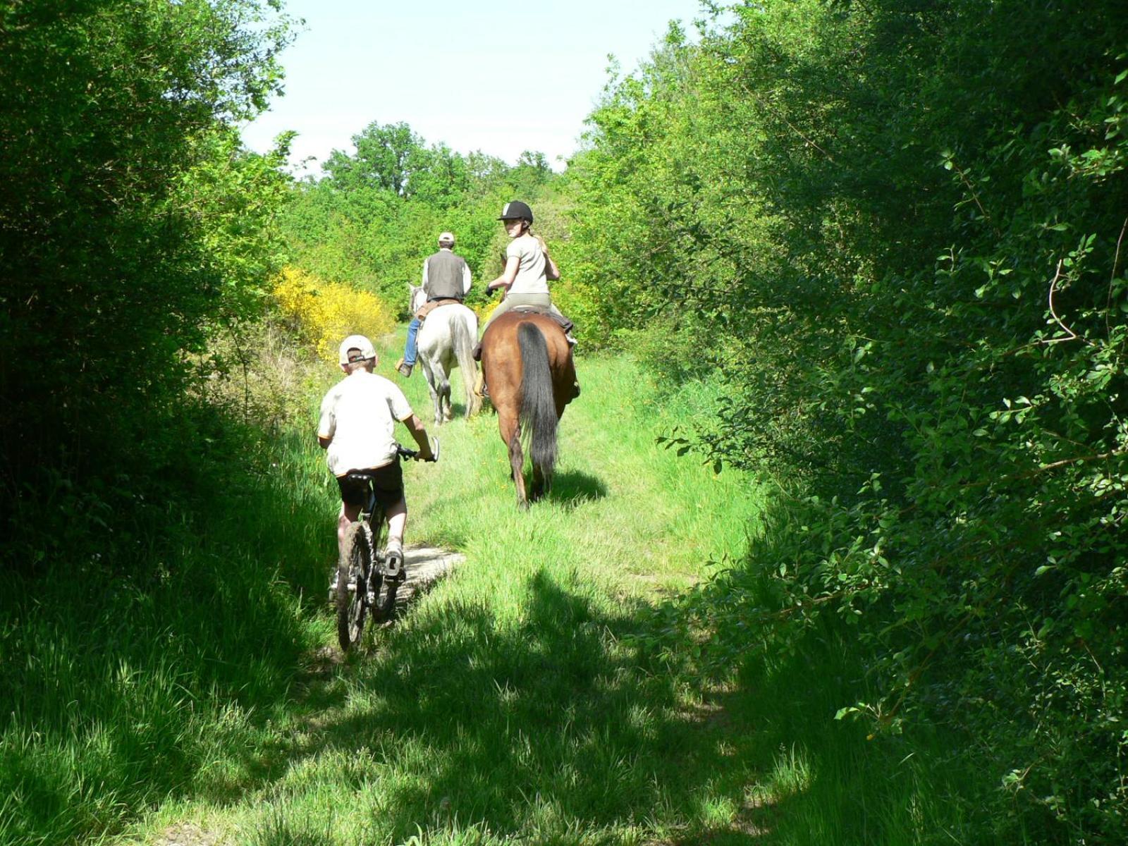 Les Pres Du Petit Morlu - Proche Beauval Saint-Romain-sur-Cher Exterior foto